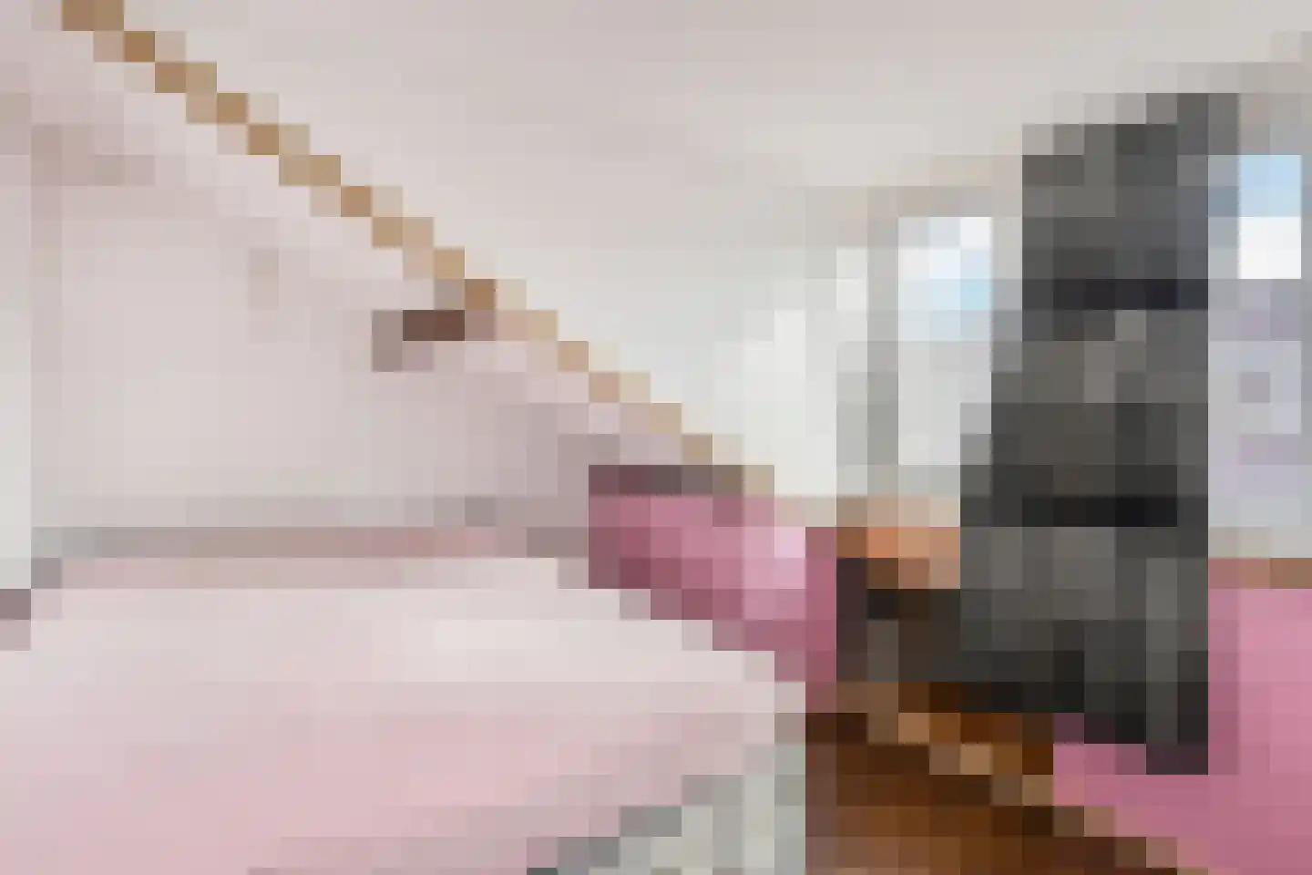 Tweede kade 5 Gouda thumbnail 31