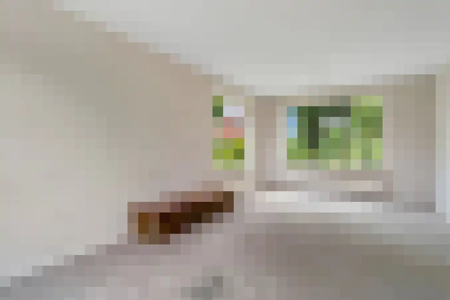 Tweede Kampsweg 15 Nijverdal thumbnail 4
