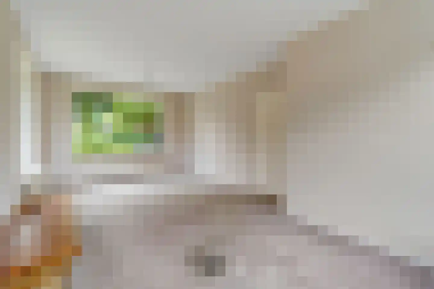 Tweede Kampsweg 15 Nijverdal thumbnail 8