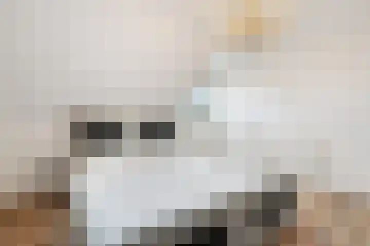 Tweede Kampsweg 26 Nijverdal thumbnail 24