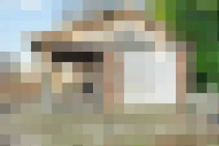 Tweede Kampsweg 26 Nijverdal thumbnail 41