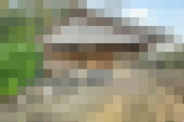 Tweede Kampsweg 26 Nijverdal thumbnail 42