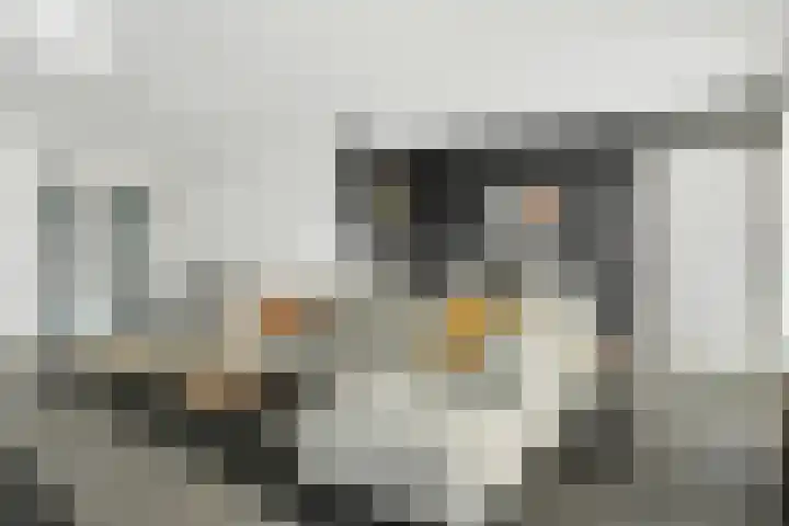 Tweede Kampsweg 26 Nijverdal thumbnail 5