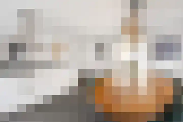 Tweede Kampsweg 26 Nijverdal thumbnail 9