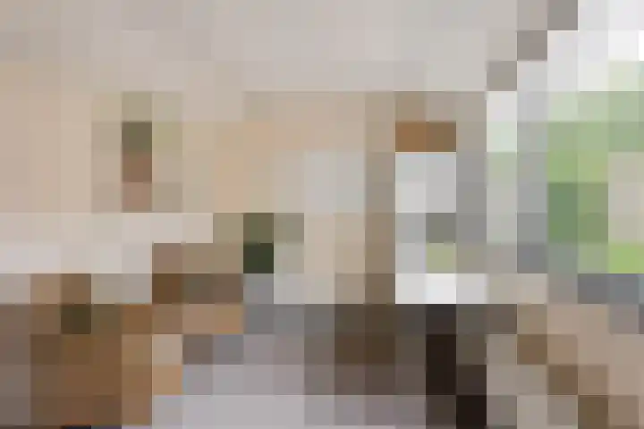 Tweede Kampsweg 35 Nijverdal thumbnail 14