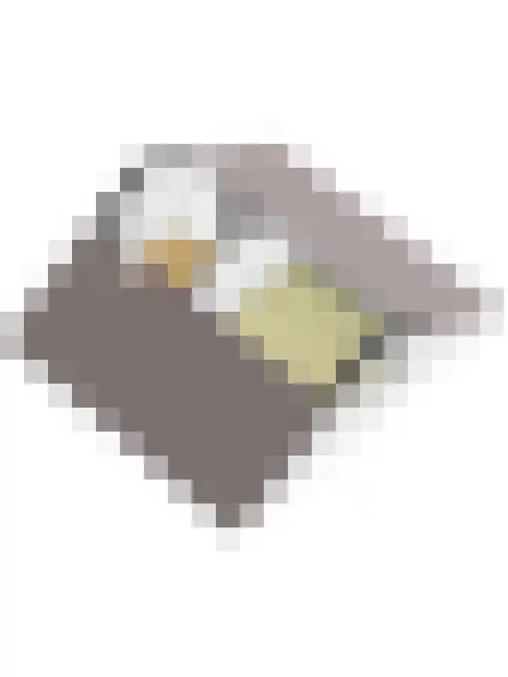 Tweede Kampsweg 35 Nijverdal thumbnail 22