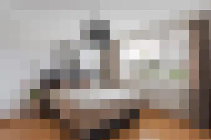 Tweede Kampsweg 35 Nijverdal thumbnail 7