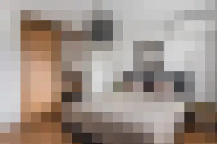 Tweede Kampsweg 35 Nijverdal thumbnail 8