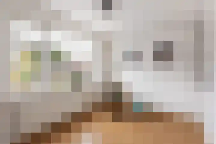 Tweede Kampsweg 35 Nijverdal thumbnail 9
