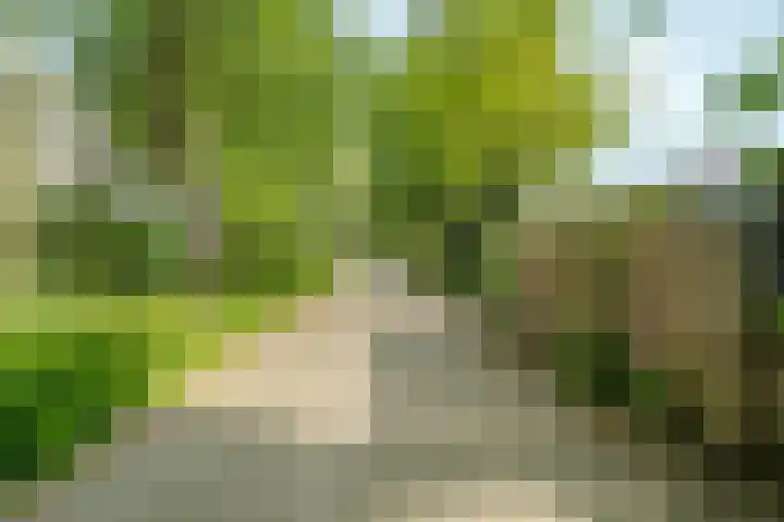 Tweede Keucheniusstraat 15 3 Amsterdam thumbnail 22