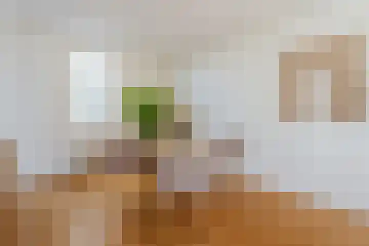 Tweede Keucheniusstraat 16 1 Amsterdam thumbnail 10