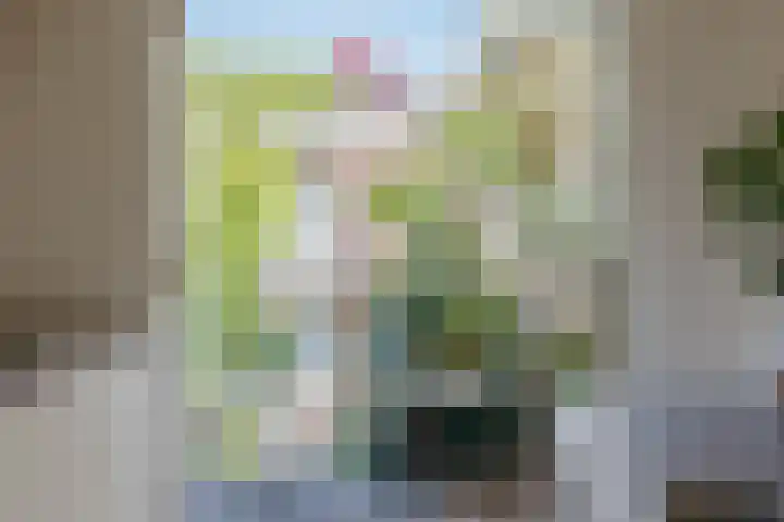 Tweede Keucheniusstraat 16 1 Amsterdam thumbnail 13