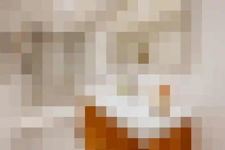 Tweede Keucheniusstraat 16 1 Amsterdam thumbnail 5