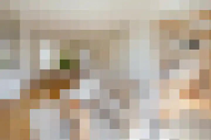 Tweede Keucheniusstraat 16 1 Amsterdam thumbnail 8