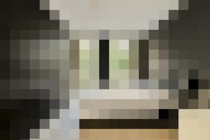 Tweede Keucheniusstraat 8 3 Amsterdam thumbnail 14