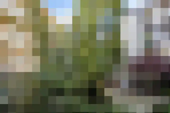 Tweede Keucheniusstraat 8 3 Amsterdam thumbnail 16
