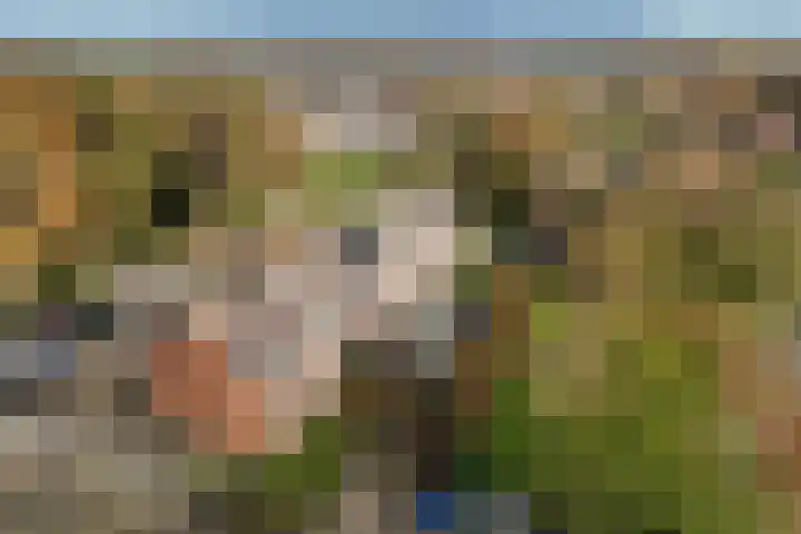 Tweede Koppelveenweg 39 in Emmer-Compascuum