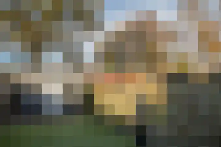 Tweede Koppelveenweg 39 Emmer-Compascuum thumbnail 34