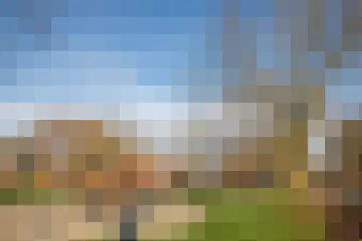 Tweede Koppelveenweg 39 Emmer-Compascuum thumbnail 38