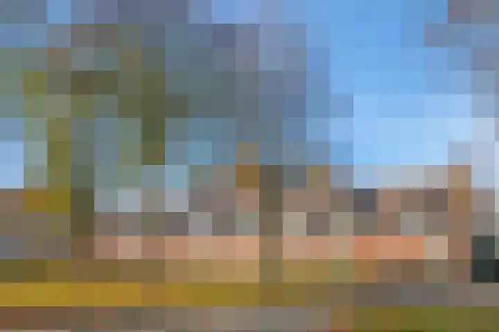 Tweede Koppelveenweg 39 Emmer-Compascuum thumbnail 40