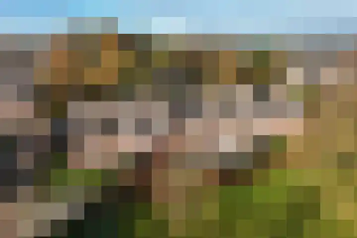 Tweede Koppelveenweg 39 Emmer-Compascuum thumbnail 45