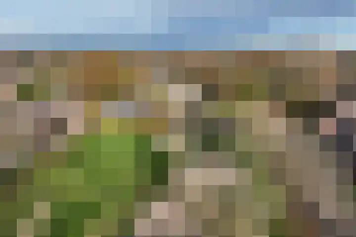 Tweede Koppelveenweg 39 Emmer-Compascuum thumbnail 46
