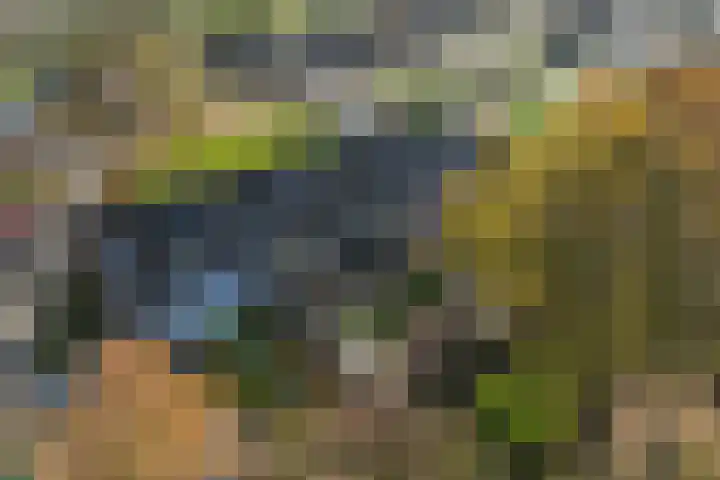Tweede Koppelveenweg 39 Emmer-Compascuum thumbnail 50