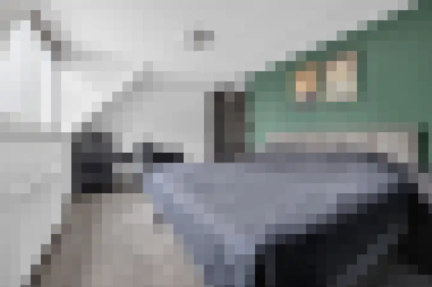 Tweede Koppelveenweg 43 Emmer-Compascuum thumbnail 21