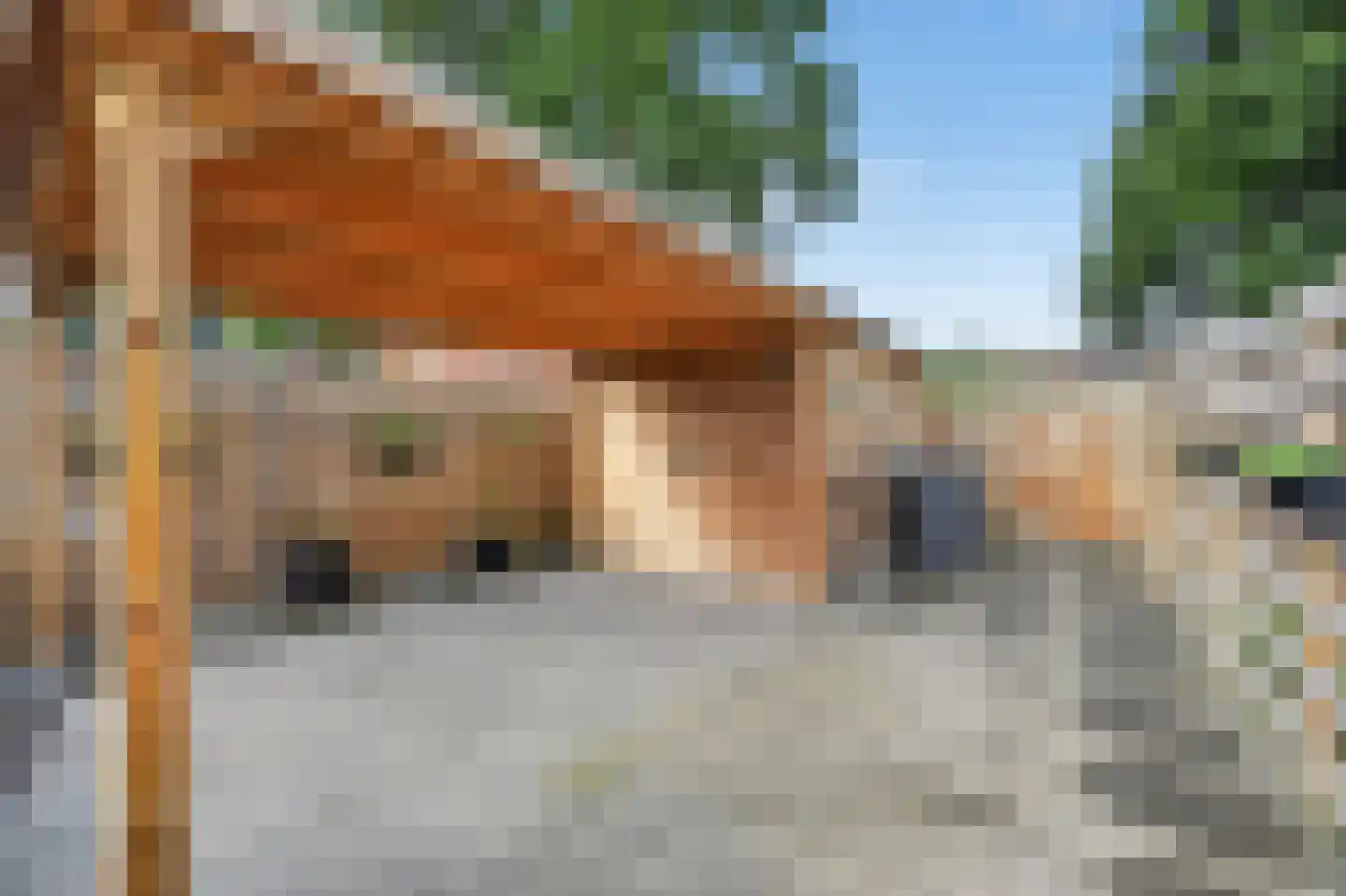 Tweede Koppelveenweg 43 Emmer-Compascuum thumbnail 35