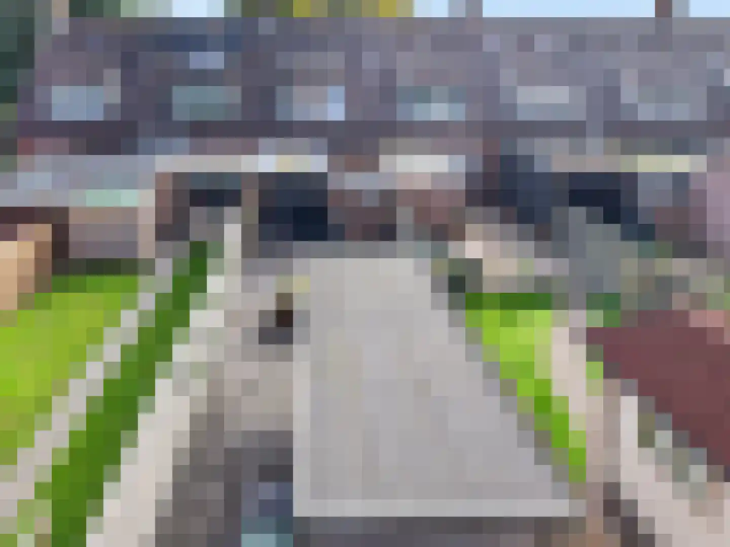 Tweede Koppelveenweg 43 Emmer-Compascuum thumbnail 36