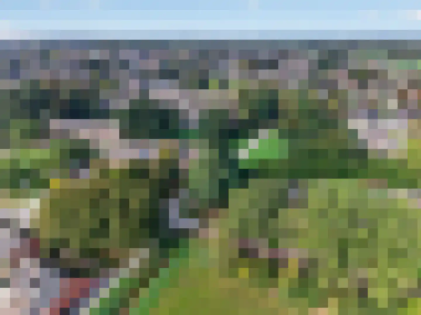 Tweede Koppelveenweg 43 Emmer-Compascuum thumbnail 43