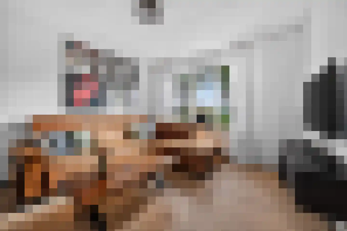 Tweede Koppelveenweg 43 Emmer-Compascuum thumbnail 6