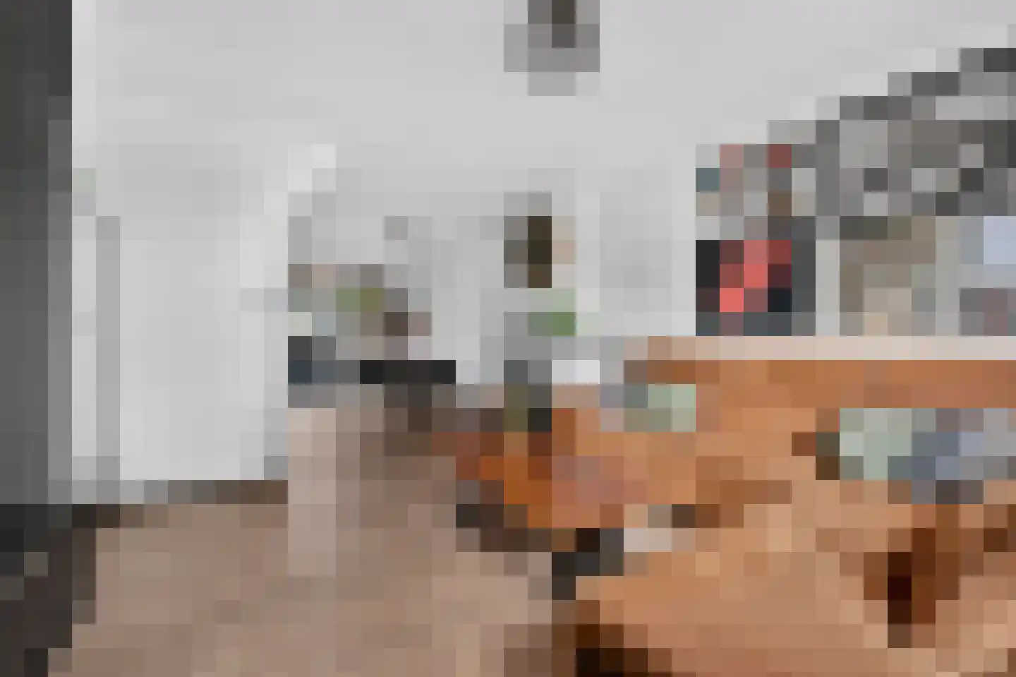 Tweede Koppelveenweg 43 Emmer-Compascuum thumbnail 8
