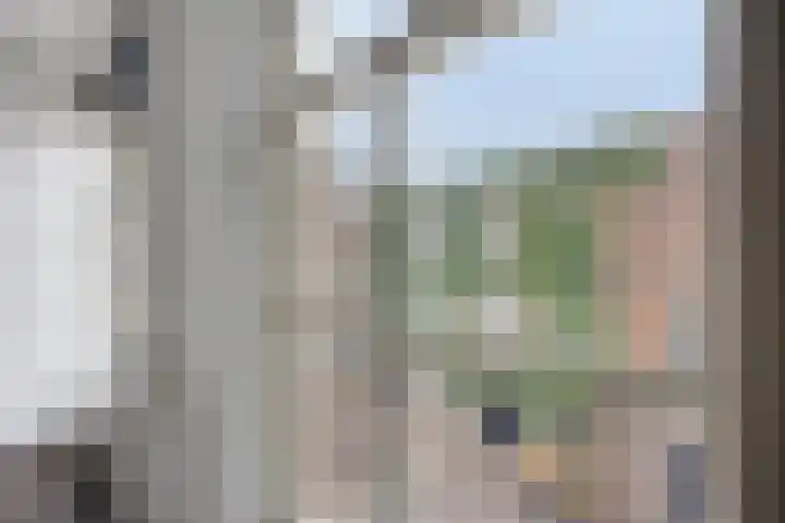 Tweede Korenstraatje 13 A 's-Hertogenbosch thumbnail 9