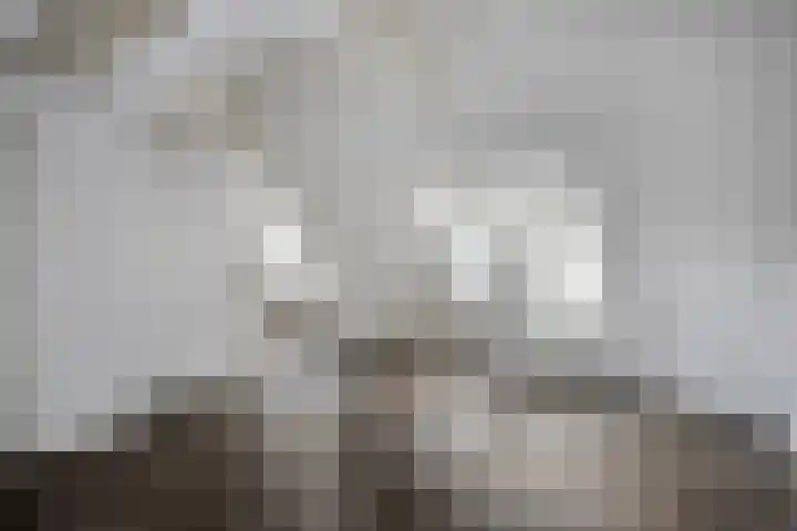 Tweede Korenstraatje 15 A 's-Hertogenbosch thumbnail 6