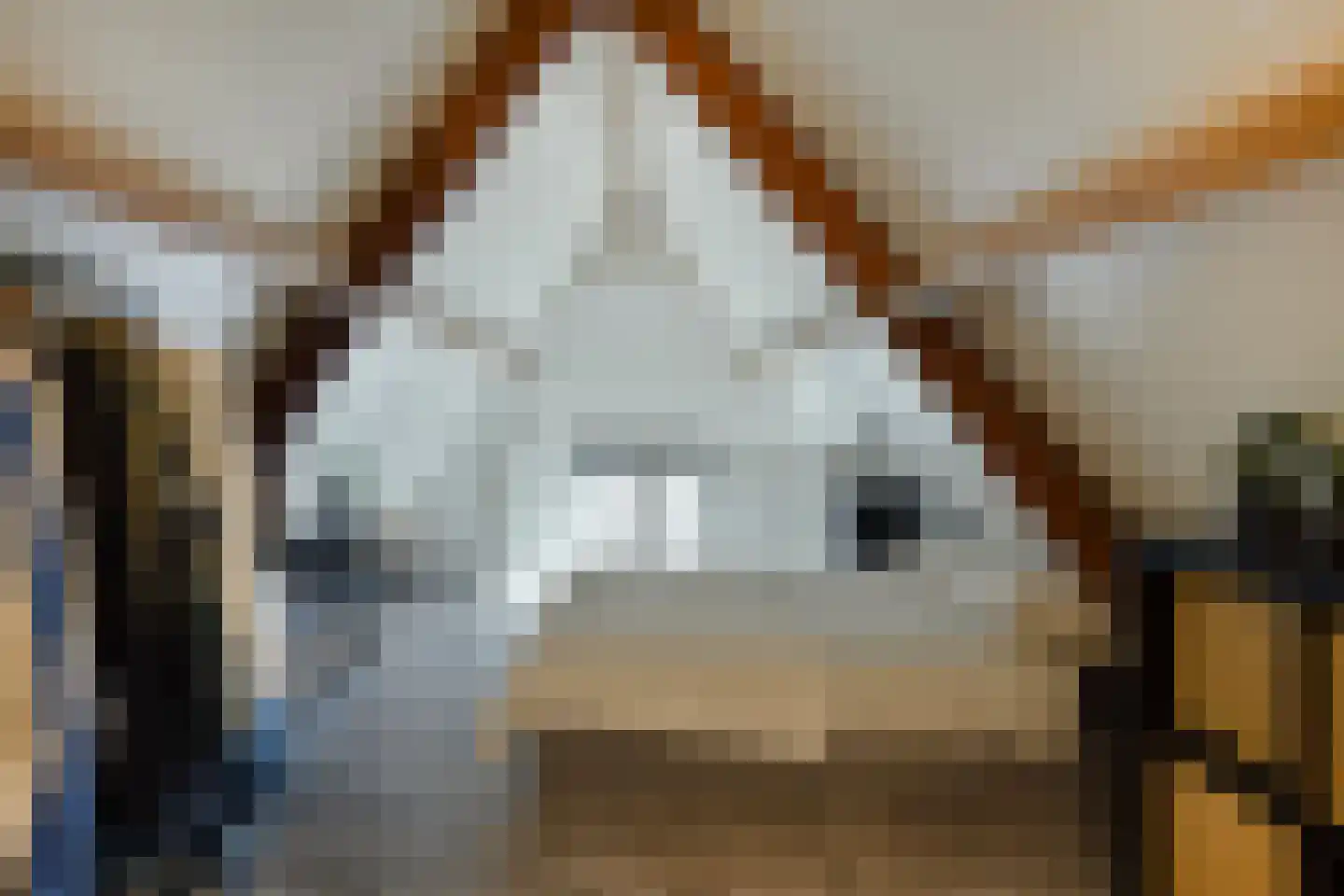 Tweede Korenstraatje 15 's-Hertogenbosch thumbnail 18