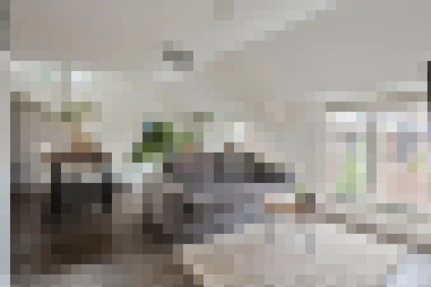 Tweede Korenstraatje 15 's-Hertogenbosch thumbnail 4