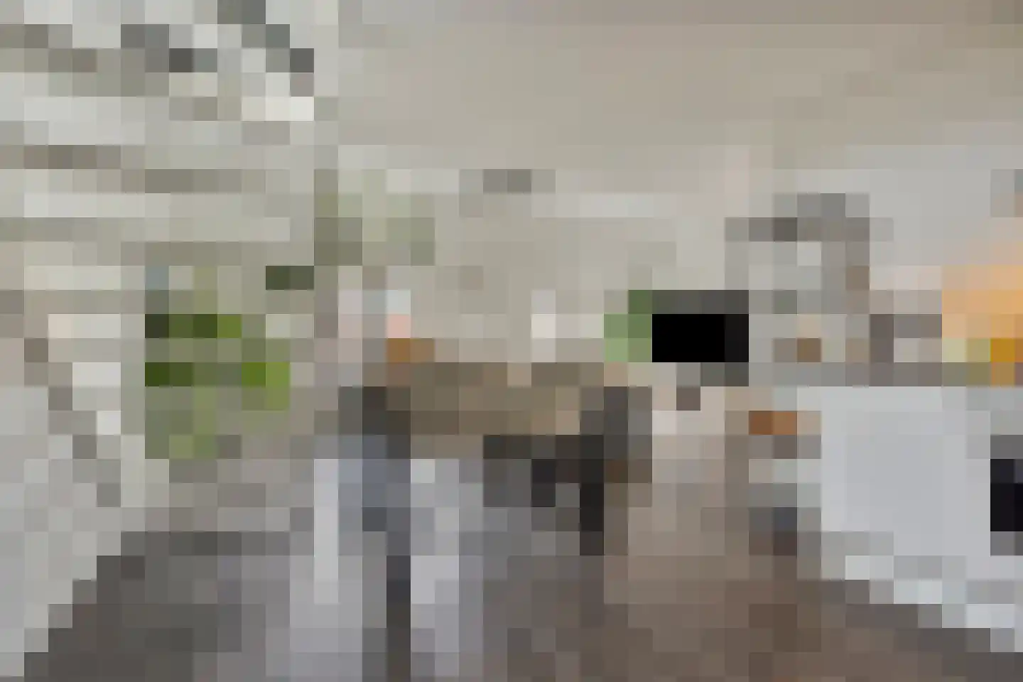 Tweede Korenstraatje 15 's-Hertogenbosch thumbnail 8