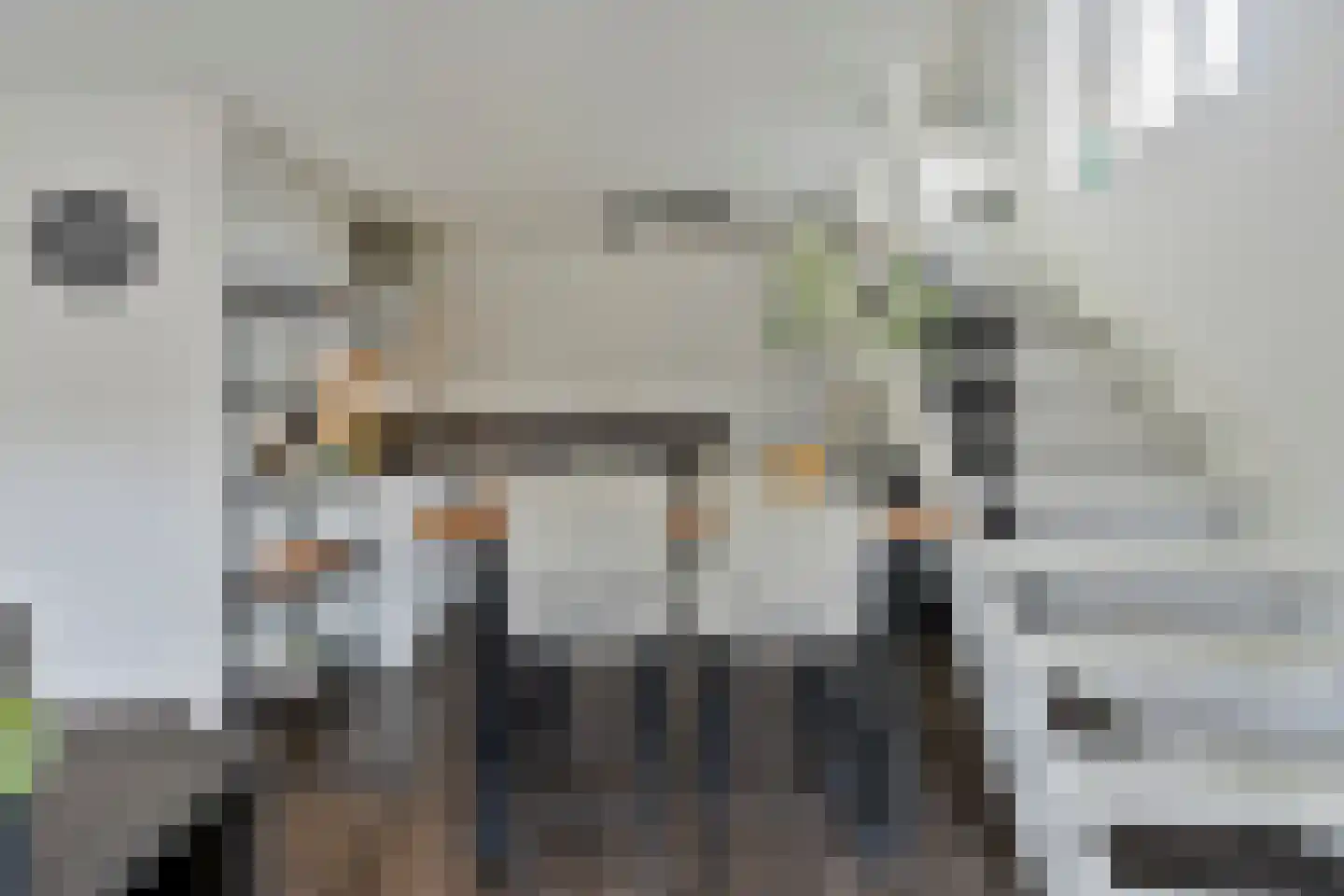 Tweede Korenstraatje 15 's-Hertogenbosch thumbnail 9