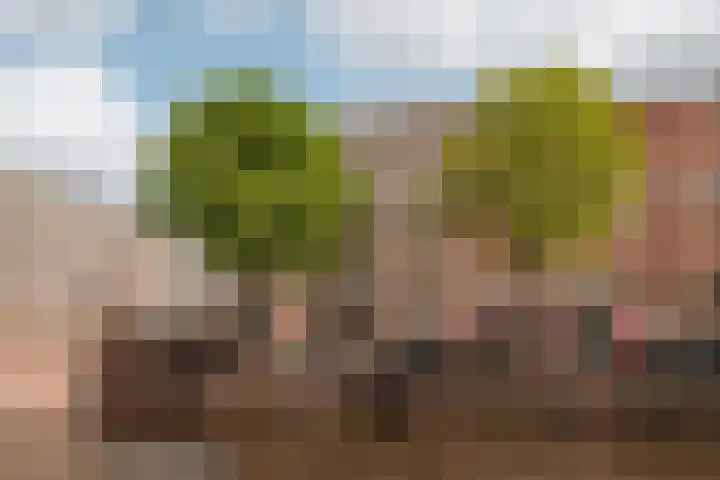 Tweede Kostverlorenkade 127 1 Amsterdam thumbnail 33