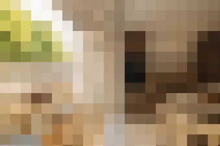 Tweede Kostverlorenkade 127 1 Amsterdam thumbnail 5