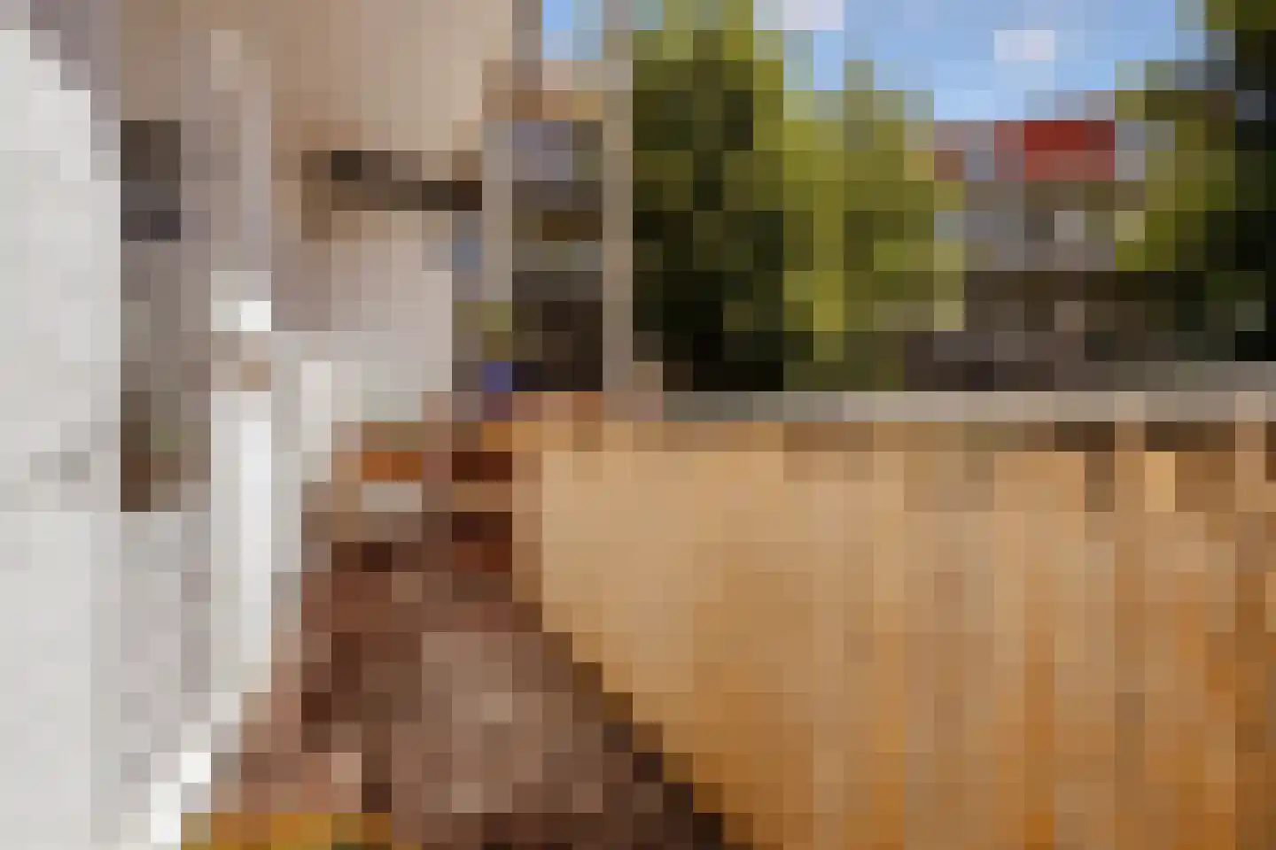 Tweede Kostverlorenkade 129 1 Amsterdam thumbnail 16