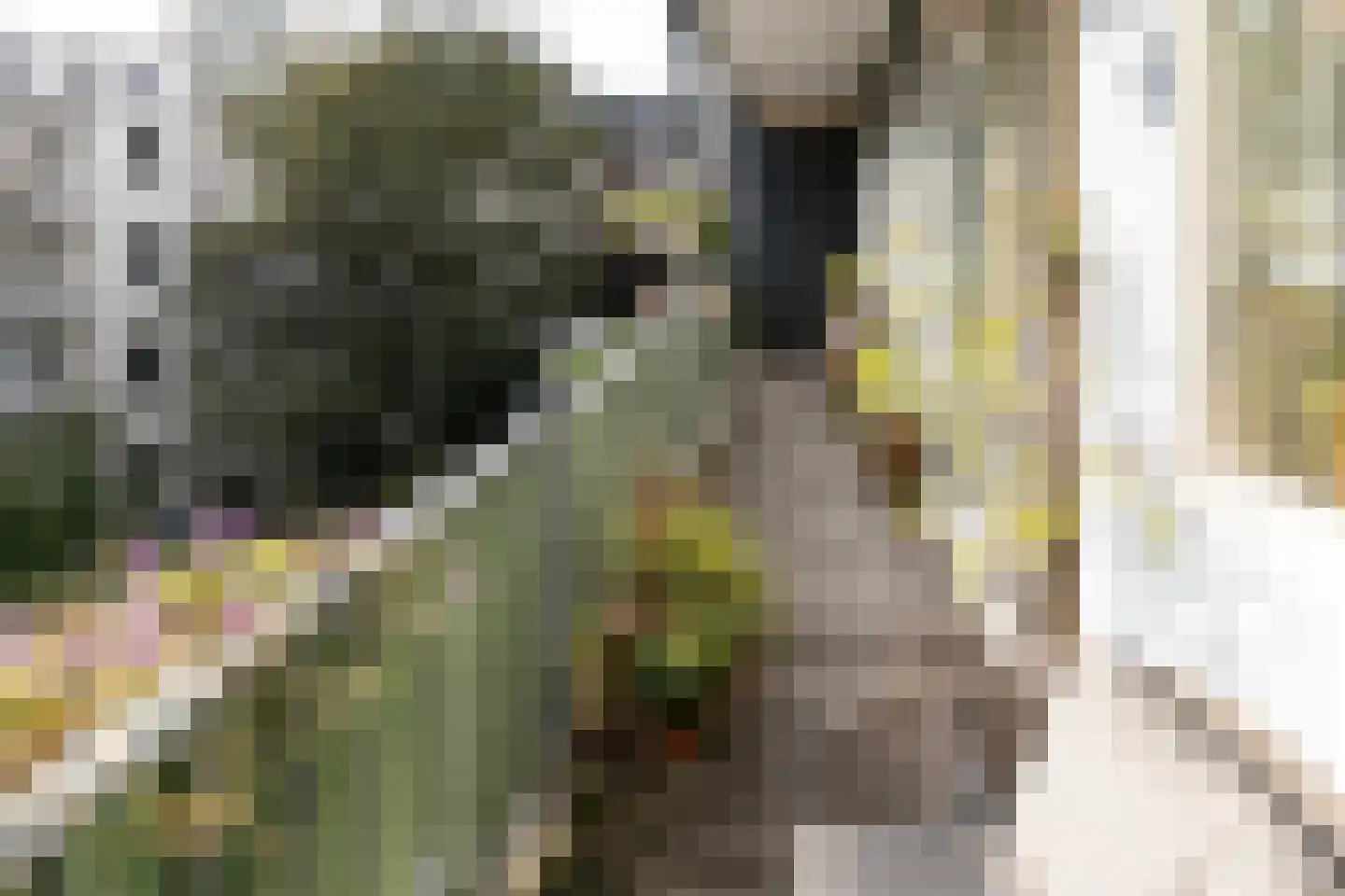Tweede Kostverlorenkade 131 2 Amsterdam thumbnail 16