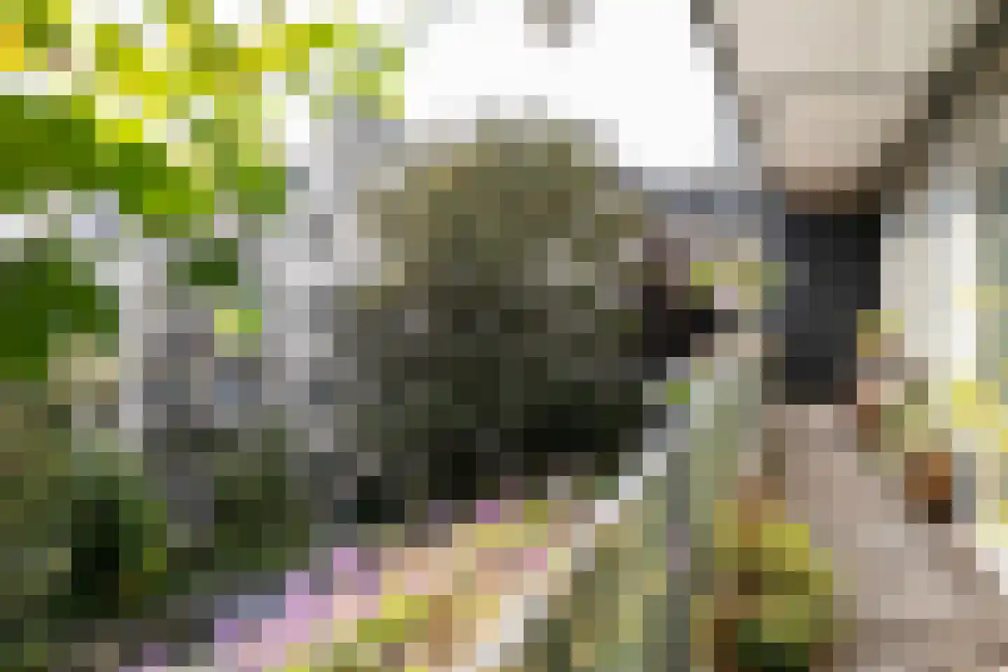 Tweede Kostverlorenkade 131 2 Amsterdam thumbnail 16
