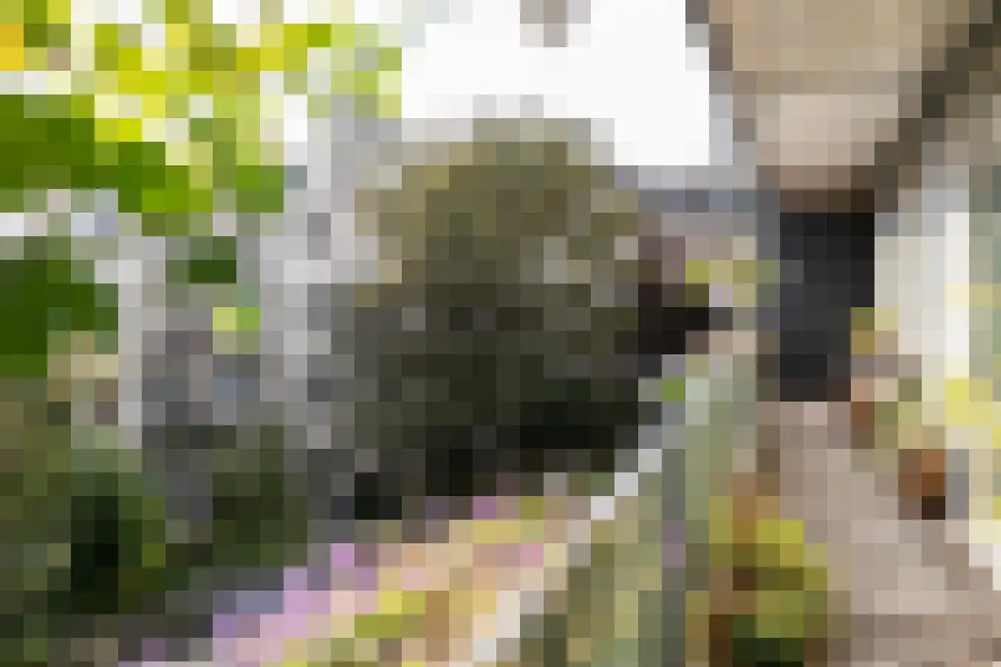 Tweede Kostverlorenkade 131 2 Amsterdam thumbnail 17