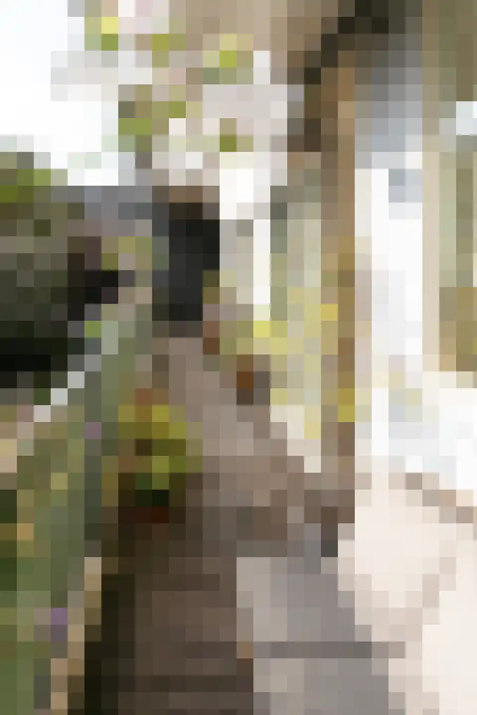 Tweede Kostverlorenkade 131 2 Amsterdam thumbnail 8