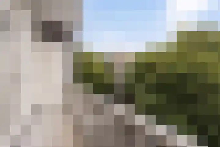 Tweede Kostverlorenkade 132 3 Amsterdam thumbnail 11