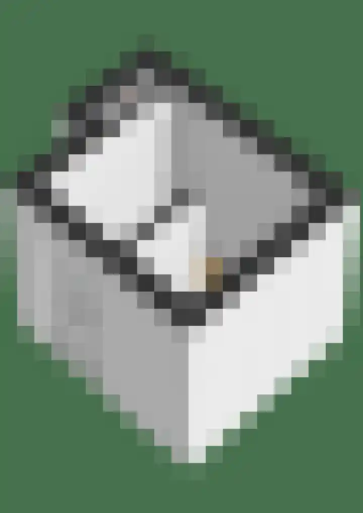 Tweede Kostverlorenkade 132 4 Amsterdam thumbnail 46