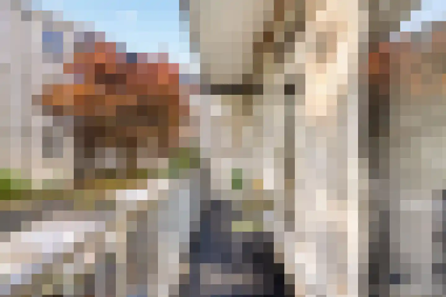 Tweede Kostverlorenkade 134 H Amsterdam thumbnail 18