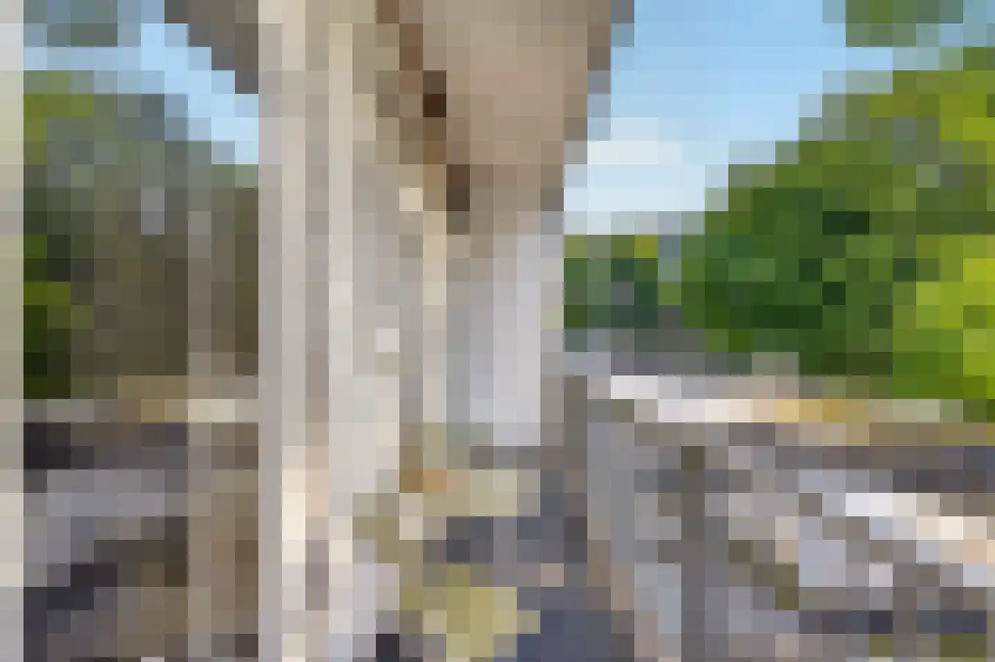 Tweede Kostverlorenkade 134 H Amsterdam thumbnail 19